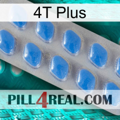 4T Plus 22